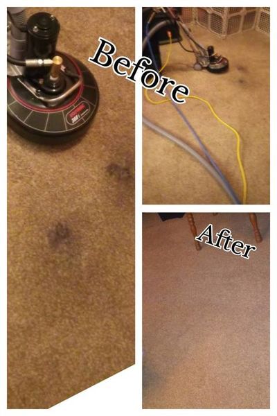 Before & After Carpet Cleaning in Jackson, MI (1)