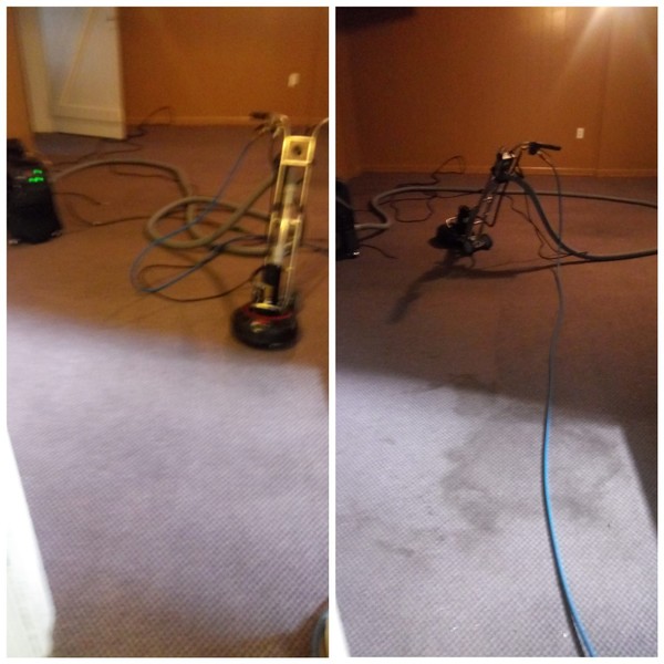 Before & After Deep Cleaning in Ann Arbor, MI (1)